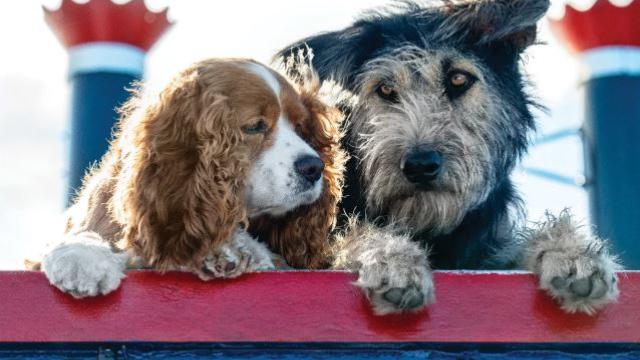 Lady & The Tramp