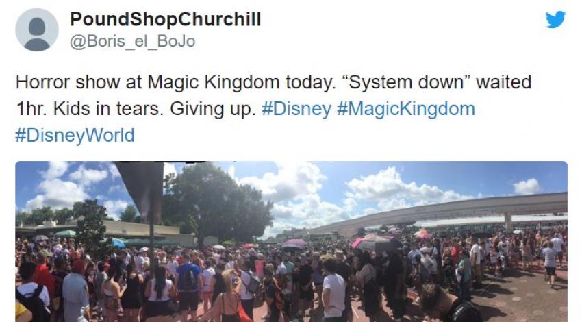 Magic Kingdom Crowds Tweet